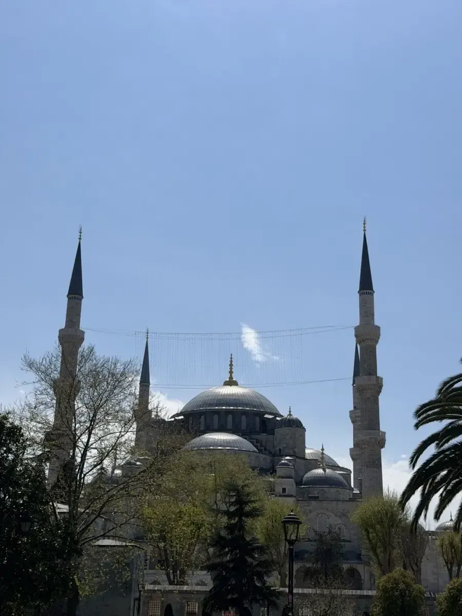 Interior view of the Blue Mosque dome and tiles